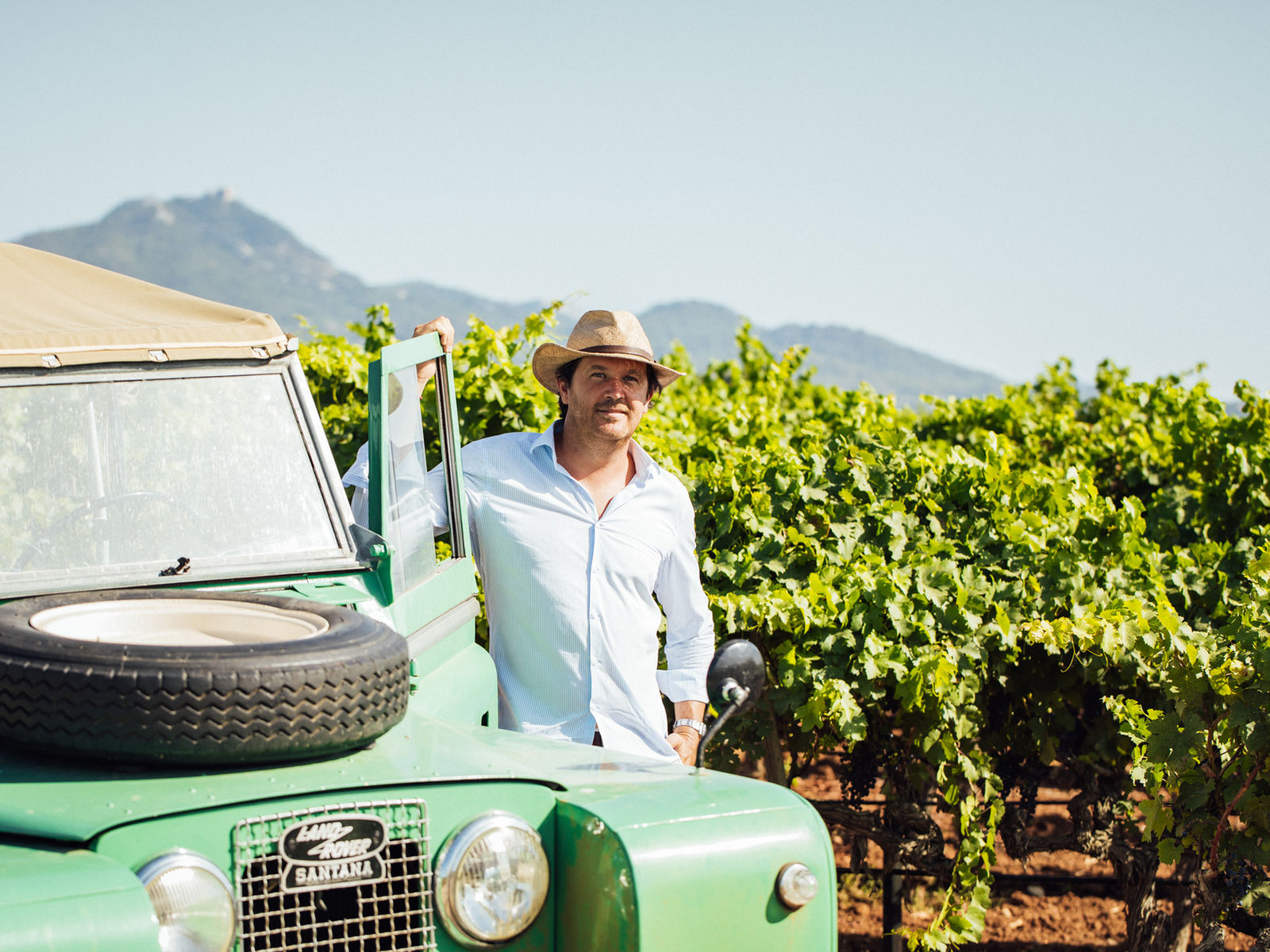 Atlan & Artisan vineyard